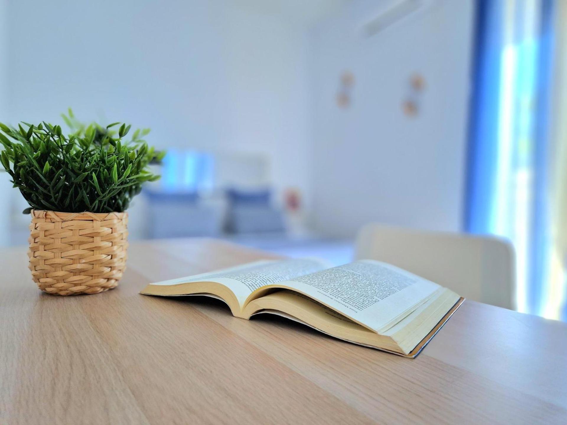 El Paraiso De Suenos Séjour chez l'habitant *